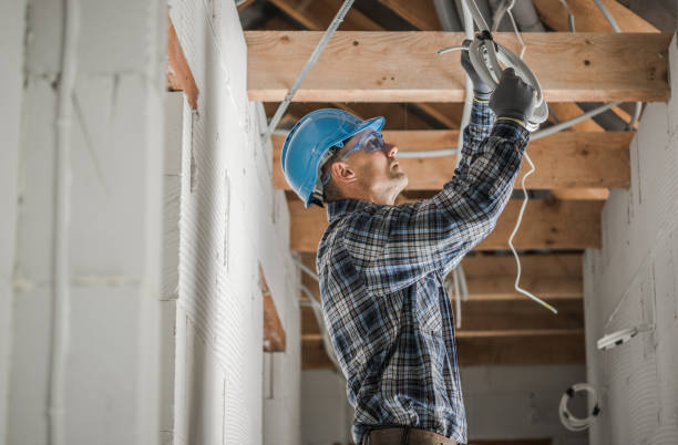 Best Ceiling Fan Installation Electrician  in Hawkinsville, GA