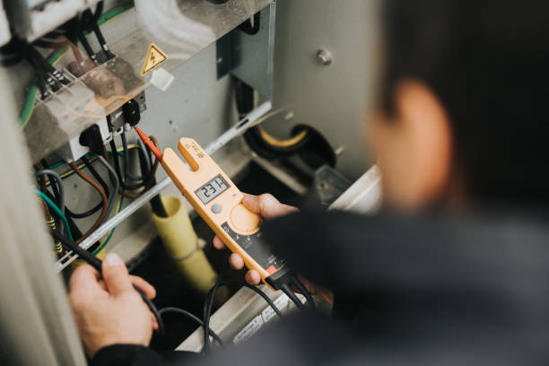 Best Electrician for Home Renovation  in Hawkinsville, GA